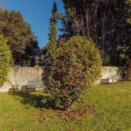 Boavista Premium By Hosty 波尔图